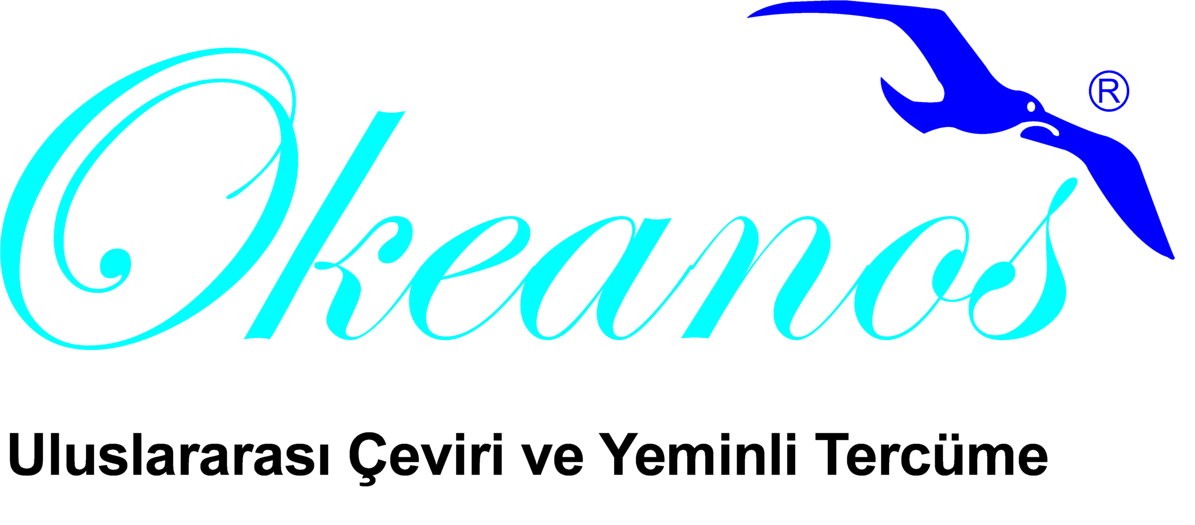 OKEANOS ULUSLARARASI ÇEVİRİ VE YEMİNLİ TERCÜME